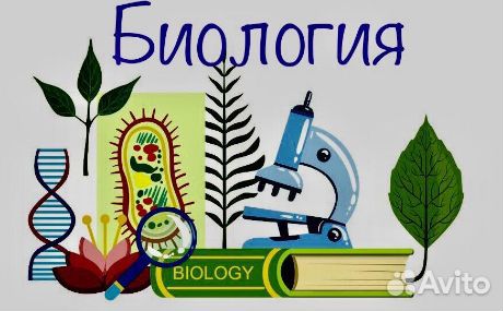 Репетитор по Биологии ЕГЭ ОГЭ (эксперт)