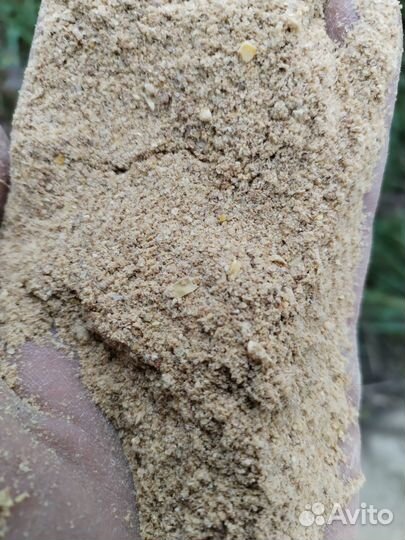 Корм кукурузный