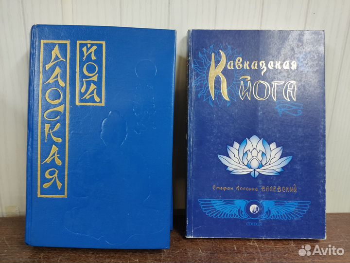 Кавказская Йога, Даоская Йога