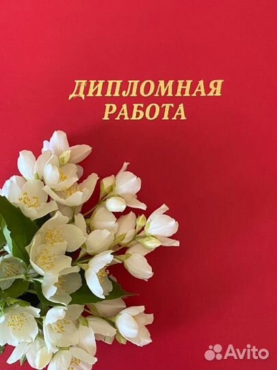 Дипломы, курсовые и вкр