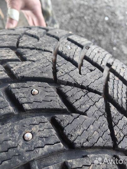 Zeta Antarctica Sport 265/60 R18 204ZR