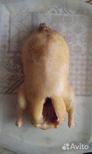 Мясо индоутки