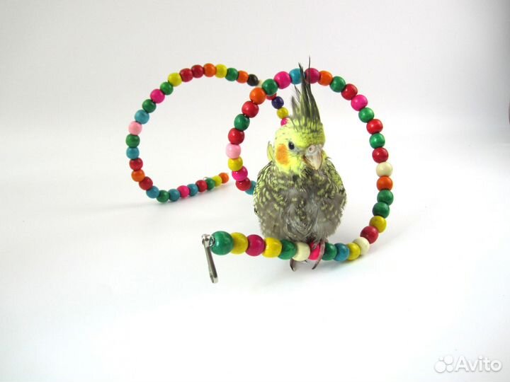 Набор игрушек для попугаев