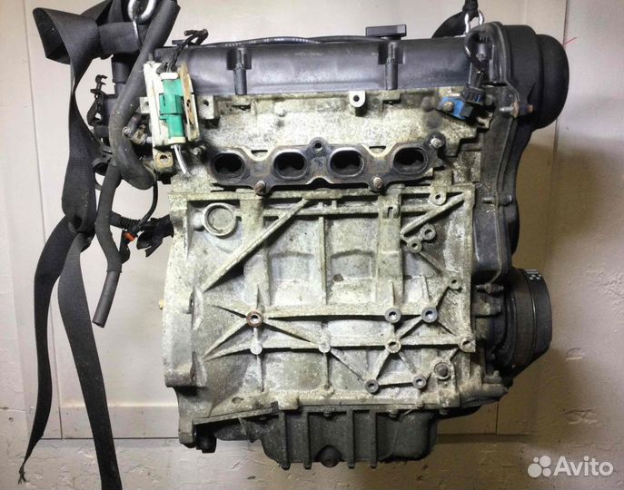 Двигатель Ford Focus Shda 1.6 бензин 2009