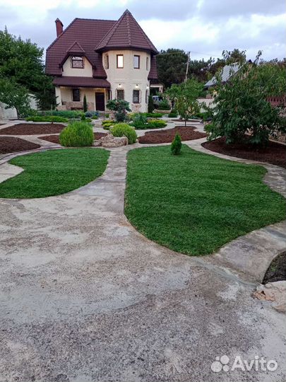 Рулонный газон