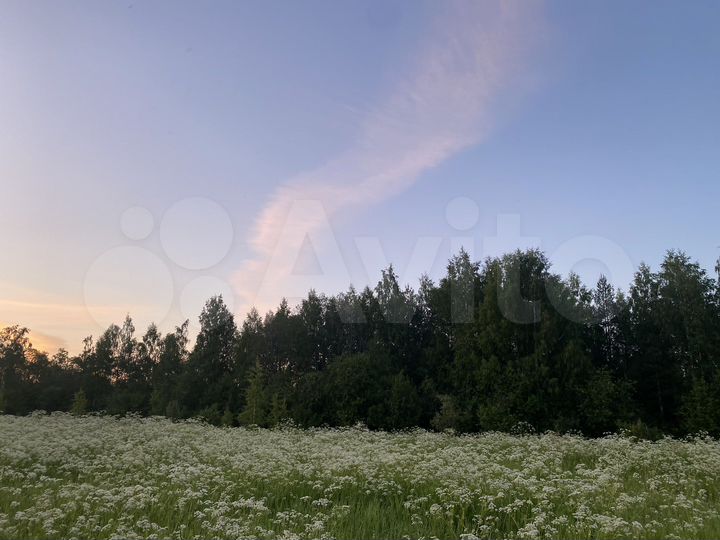 Участок 1,3 га (СНТ, ДНП)