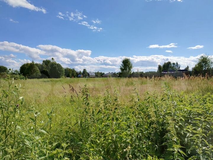 Участок 50 сот. (ИЖС)