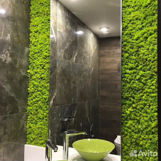 Панно из мха, Фитостена из мха