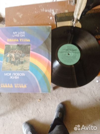 Виниловые пластинки