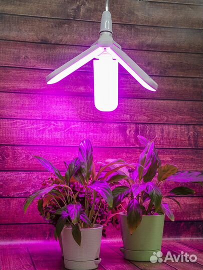 Фитолампа для растений uniel LED-P65-24W