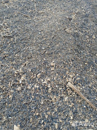 Отходы семечки