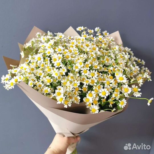 Букеты из ромашек. Цветы