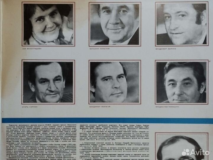 Виниловые пластинки