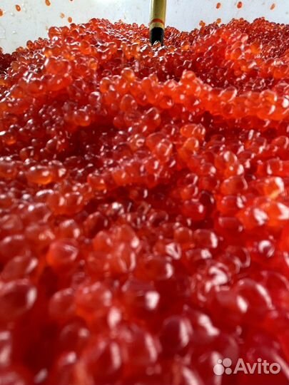 Икра красная