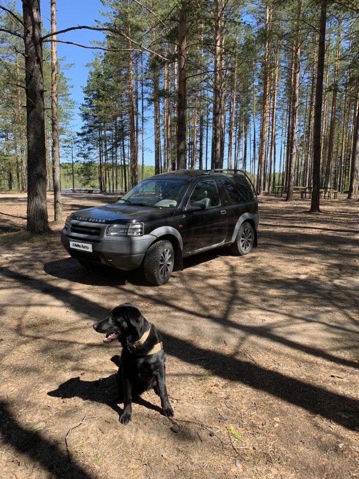Land Rover Freelander: фото владельца