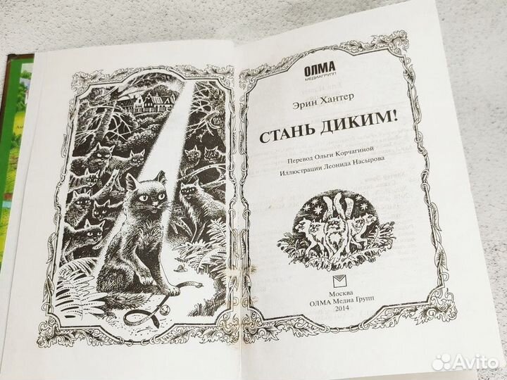 Коты воители Стань диким первая книга
