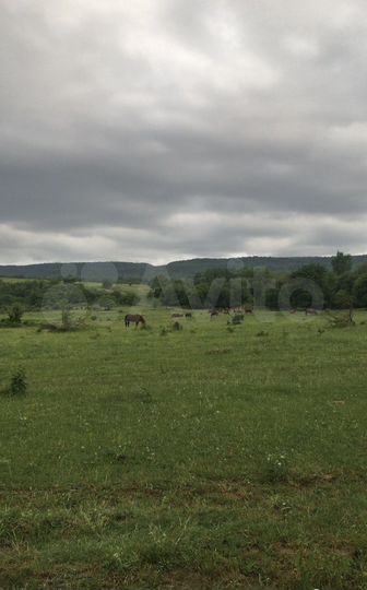 Участок 2,47 га (СНТ, ДНП)