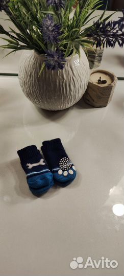 Носки для собак