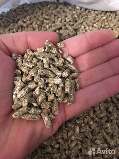 Корм для декоративных грызунов