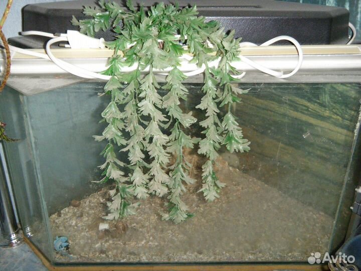 Аквариумы террариумы