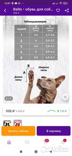 Ботинки для маленьких собак