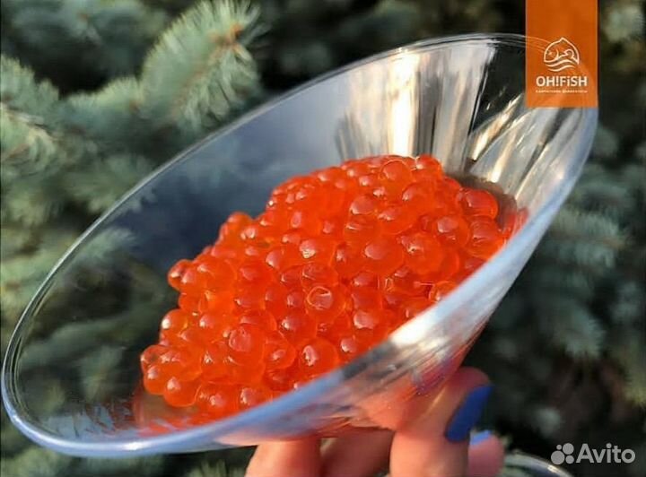 Икра Кеты качество (premium) 2023