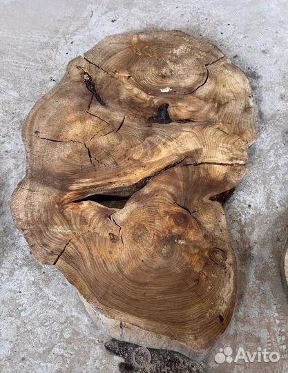 Спилы карагача, дуба, шелковицы в наличии