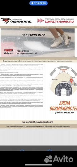 Билет на массовое катание