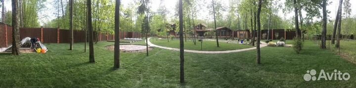 Рулонный газон/продажа/укладка