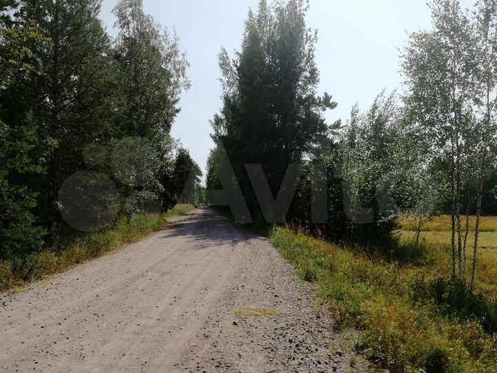 Участок 4,8 га (ИЖС)