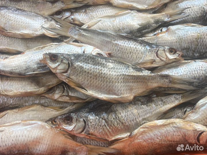 Вобла вяленая с икрой