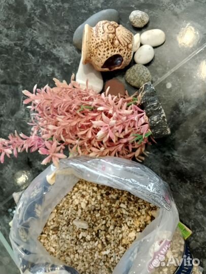 Аквариум с принадлежностями