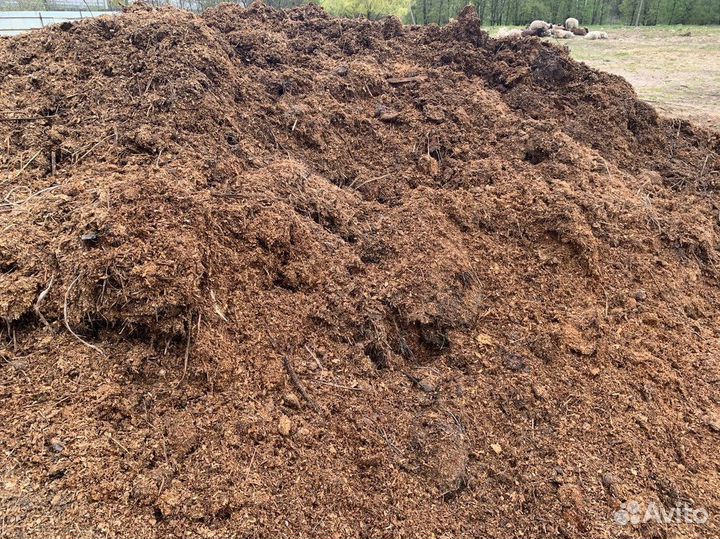 Коровий навоз и перегной. Торф. Опилки