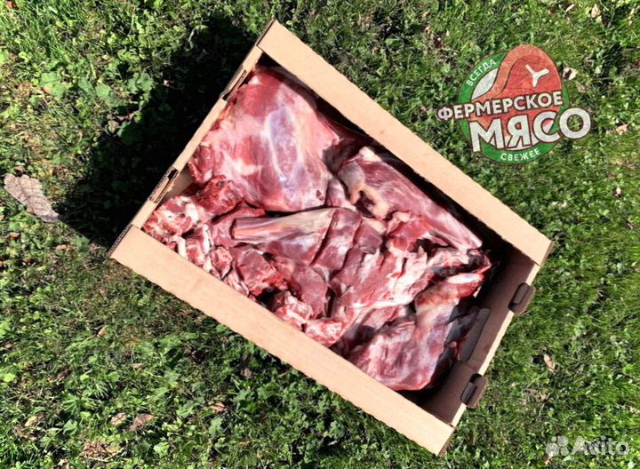 Мясо баранина