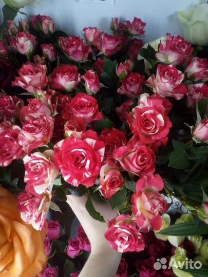 Цветы розы букет