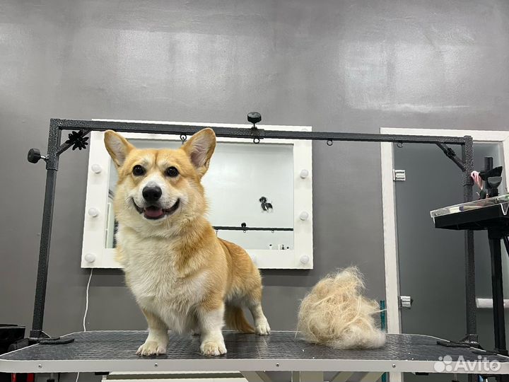 Экспресс линька собак и кошек