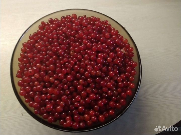 Красная смородина ягоды
