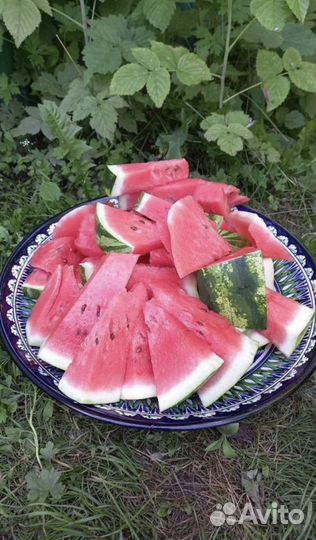 Узбeкcкая пocyдa