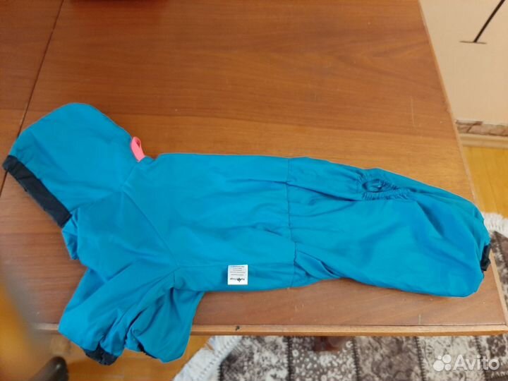 Дождевик для маленькой собаки