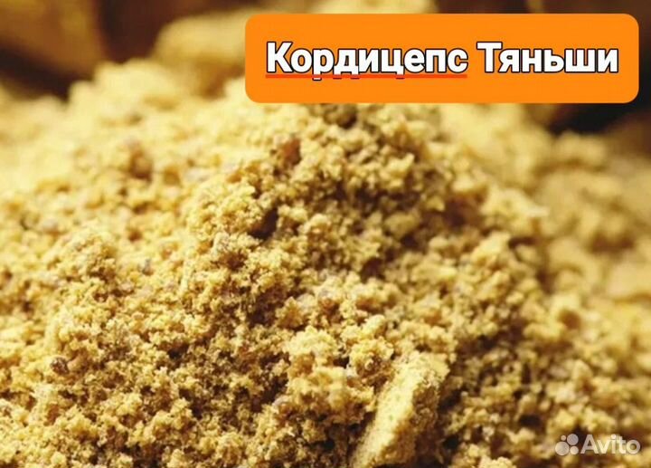 Кордицепс гриб молотый