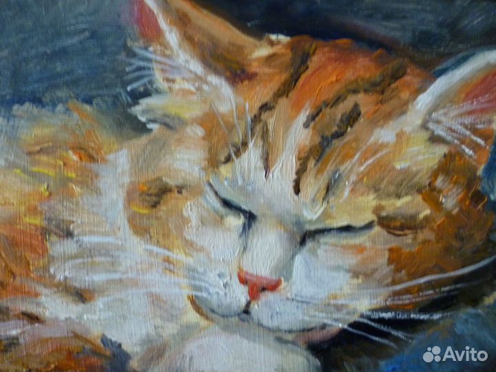 Картина маслом Рыжий котик