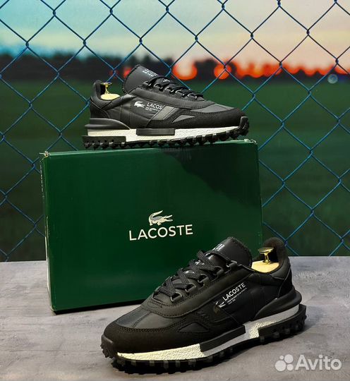 Кроссовки мужские Lacoste