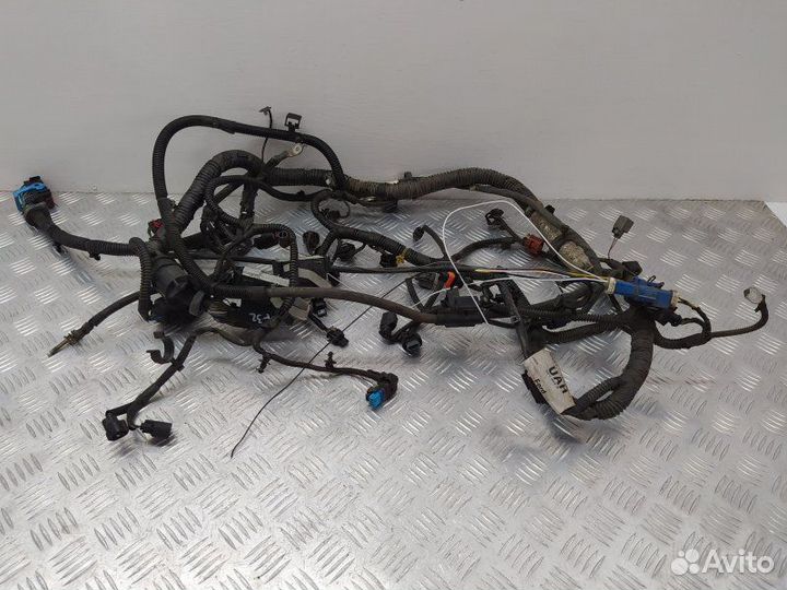 Проводка двигателя Ford Focus III (2011-2014)