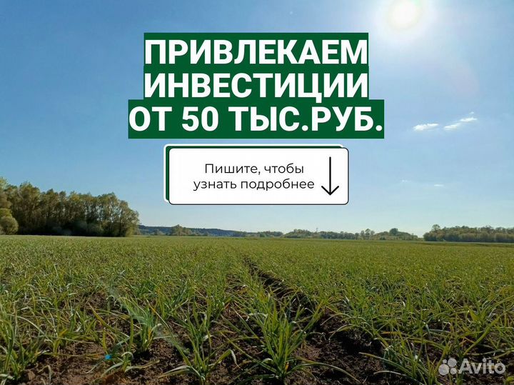 Поиск инвестора гарантированный доход