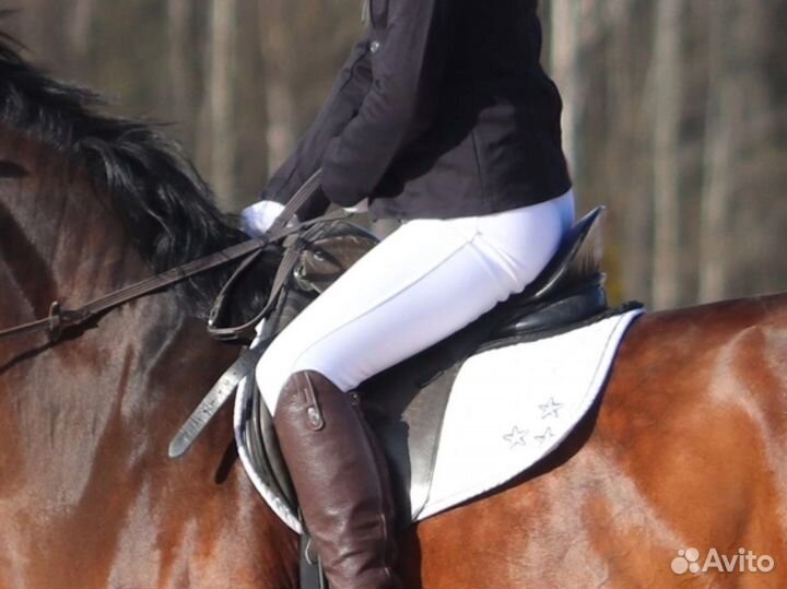 Бриджи для верховой езды