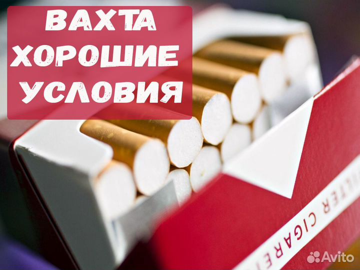 Упаковщик сигарет Вахта проживание/питание Москва