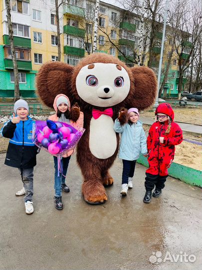 Поздравление от Чебурашки, аниматор