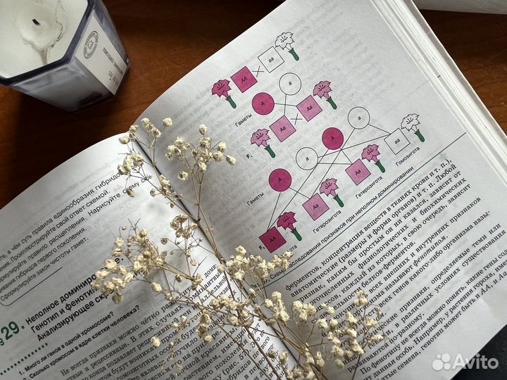 Биология 9 класс Пасечник и Каменский