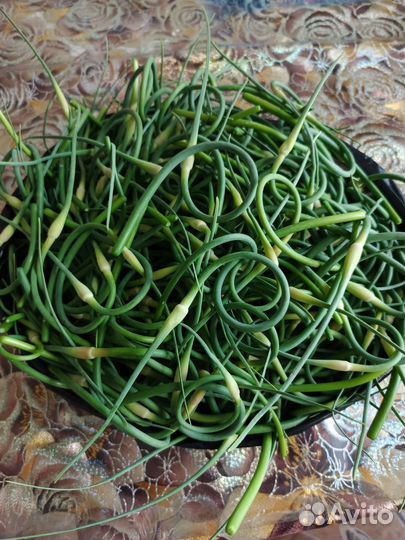 Чесночные стрелки