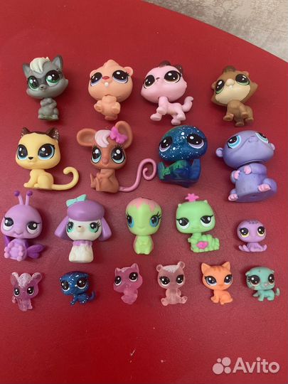 Littlest pet shop